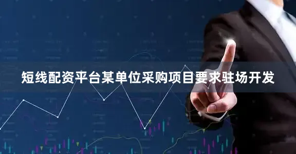 短线配资平台某单位采购项目要求驻场开发