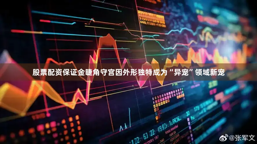 股票配资保证金睫角守宫因外形独特成为“异宠”领域新宠
