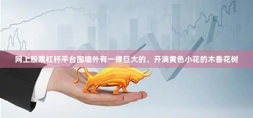 网上股票杠杆平台围墙外有一棵巨大的、开满黄色小花的木香花树
