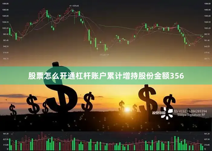 股票怎么开通杠杆账户累计增持股份金额356